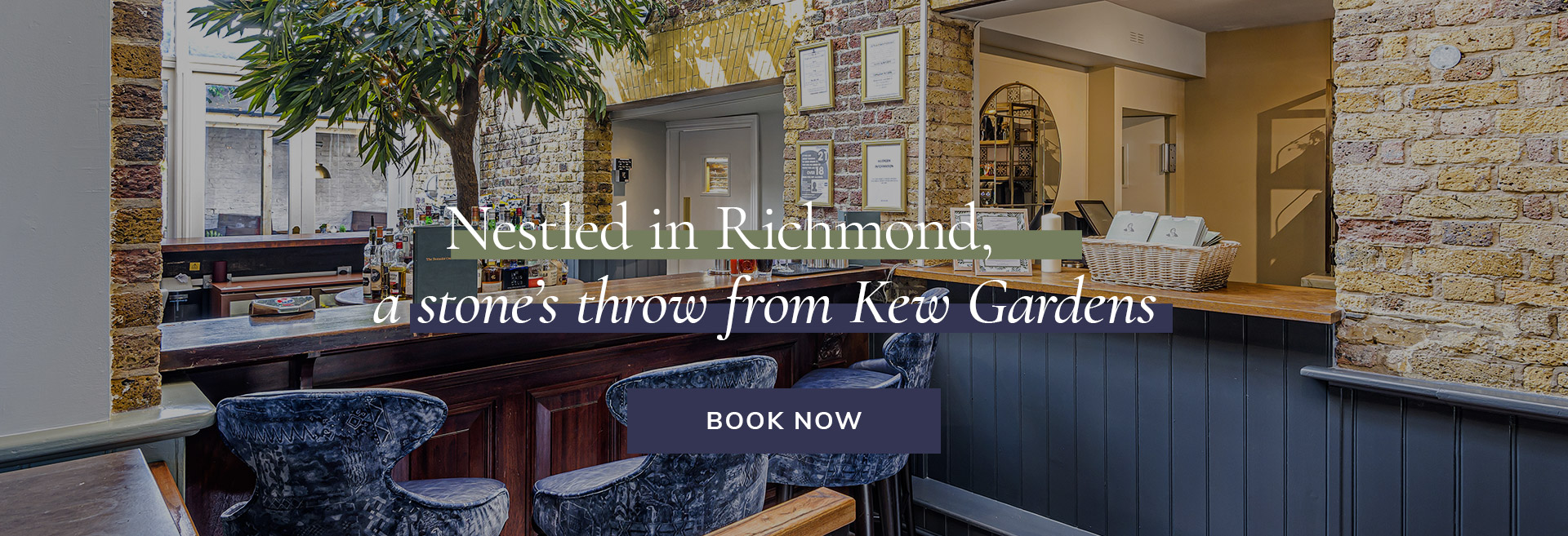 Join us at The Botanist on the Green in Richmond for delicious pub food